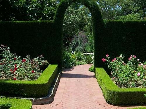 Formal French Rose Garden